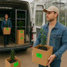 Load image into Gallery viewer, Bulk Case of 50 Sets - 250pcs Live Plants Shipping Stickers, Handle with Care Labels for Gardens, Nurseries, Landscaping, 3" x 2" Labels