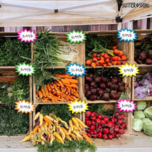 Load image into Gallery viewer, Bulk Case of 144 Sets - Starburst Signs with Stickers 100pcs | 50pcs Sign Cards &amp; 50pcs Sticker Dots. Neon 3x5 inch